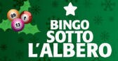 Bingo sotto l'albero