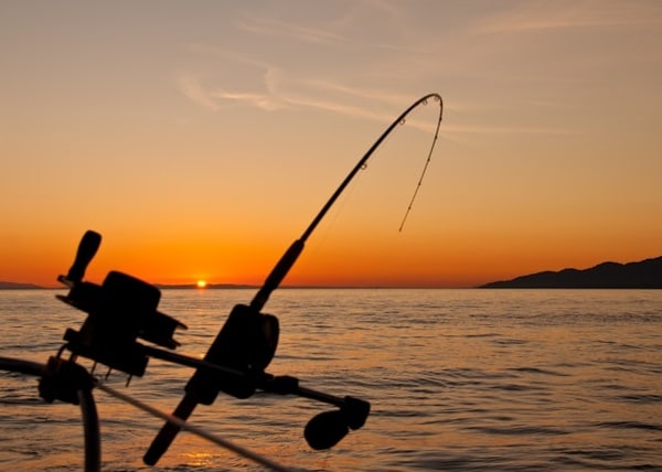 Getta la lenza con la slot Golden Catch