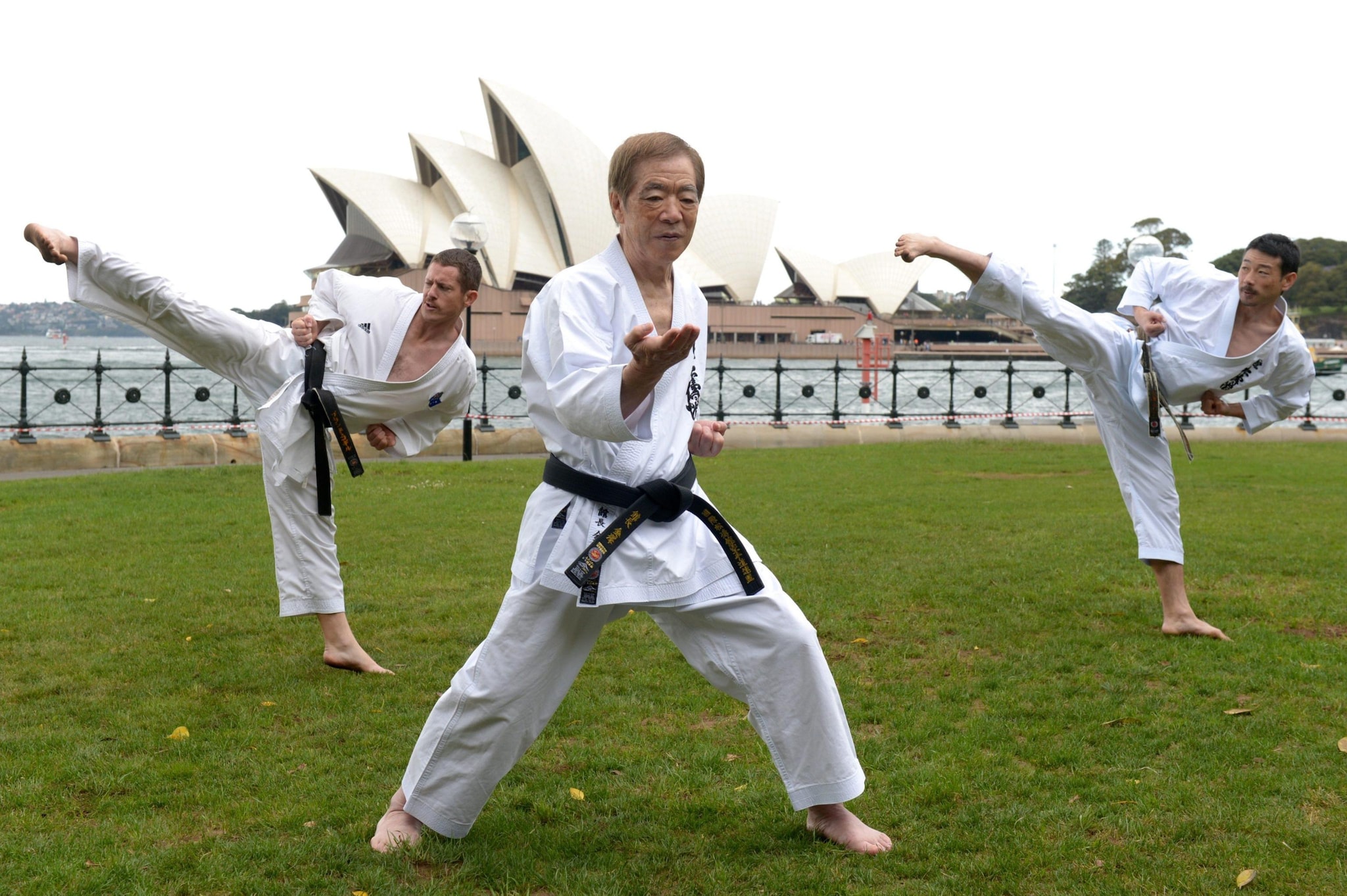 Ceinture De KaratÉ Leone Bleue - Ceintures De Judo Et De Karaté - Foto 13