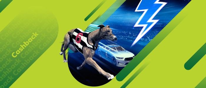 Sisal Virtual Fast Race