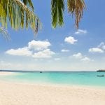 Temptation island Vip