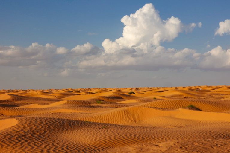 Sahara Riches Cash Collect, i tesori nel deserto