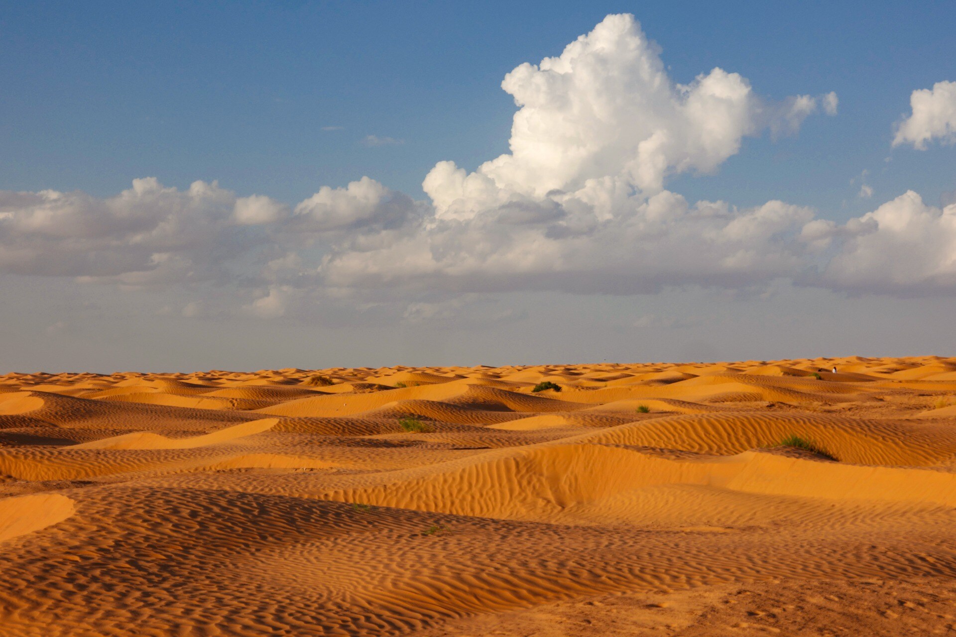 Sahara Riches Cash Collect, i tesori nel deserto