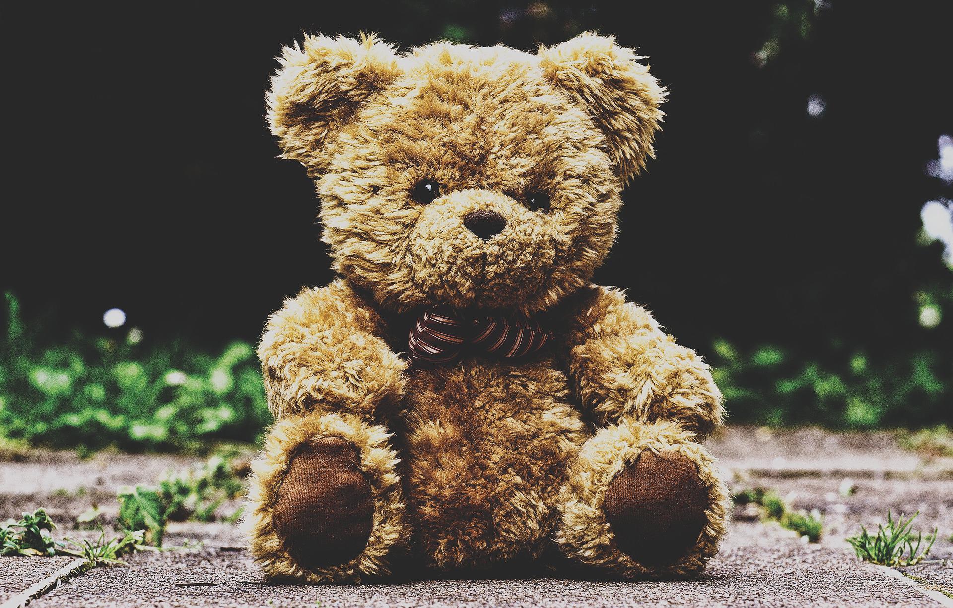 Ted Megaways, la slot dell’orsetto su Sisal.it