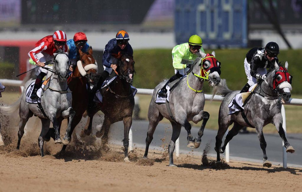 Tipi Di Corse Nell ippica Ecco Quali Sono Sisal News