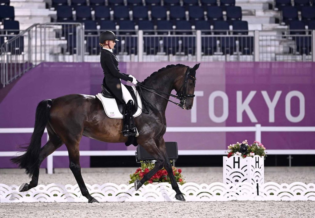 Dressage cos'è e figure principali di questo sport Sisal News