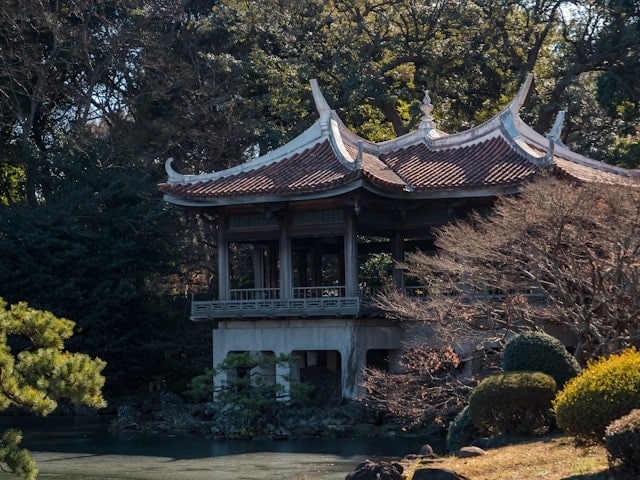 shogun
