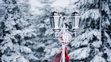 narnia