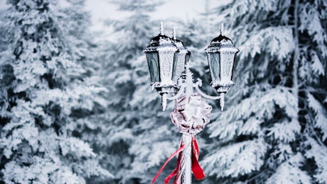 narnia